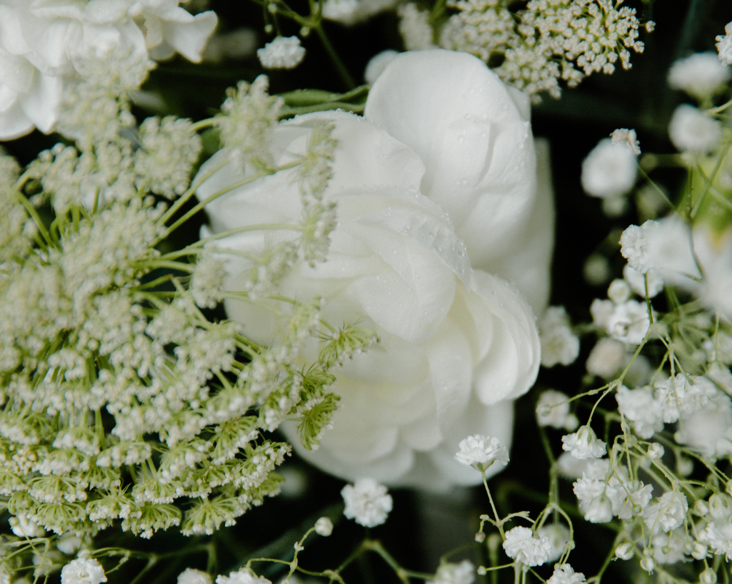 Up close image of white flowers.