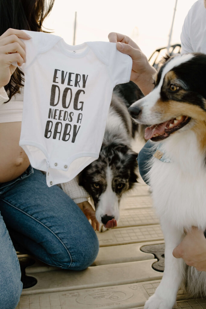 Dog looks at a onesie that says "Every dog needs a baby" in Minneapolis pregnancy announcement at Bde Mka Ska