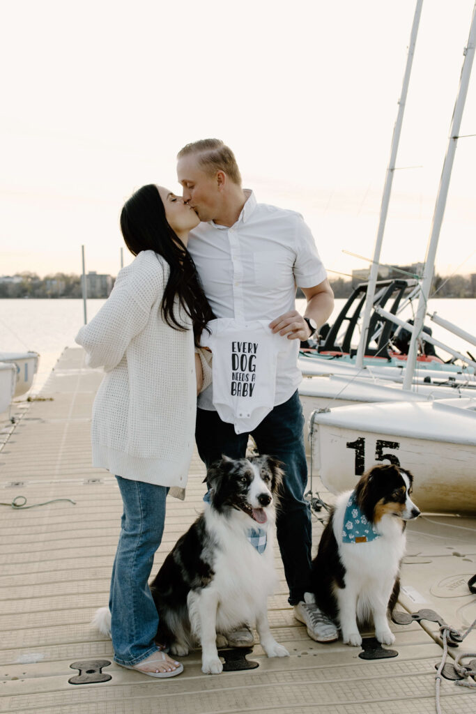 Man and woman kiss as they announce their pregnancy with their two Australian shepherd alongside them.