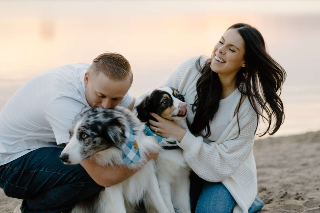 Man and woman laugh and kiss their Australian shepherds